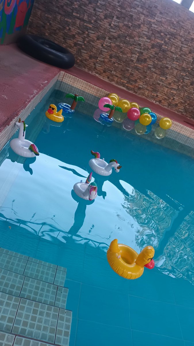 Denis y artemio tweet media