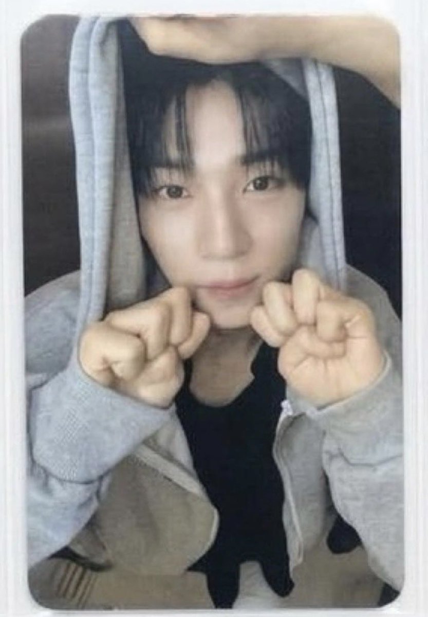 ゆう🐾🌈🦁🐉 tweet media