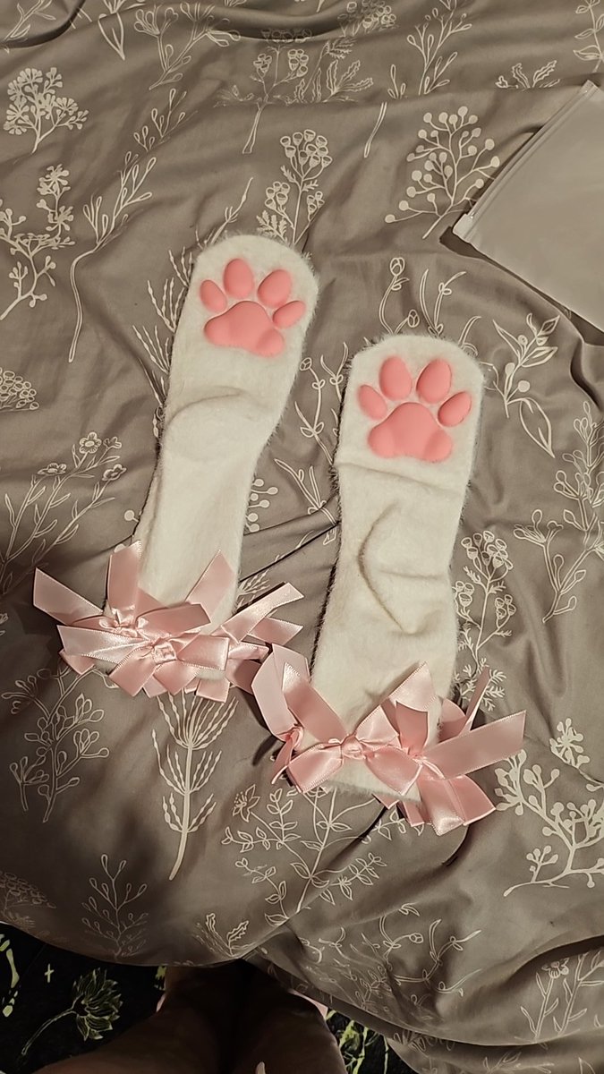 Fidget The Bat🦇 tweet media