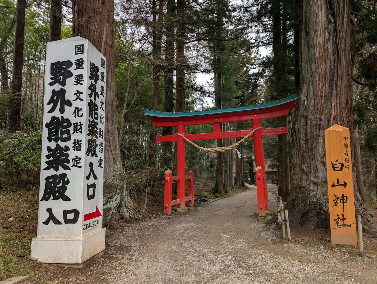 伊穂明 tweet media