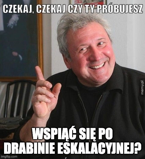 Rafał Godek 🔍 tweet media