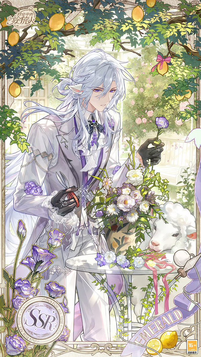 Daily Cael tweet media