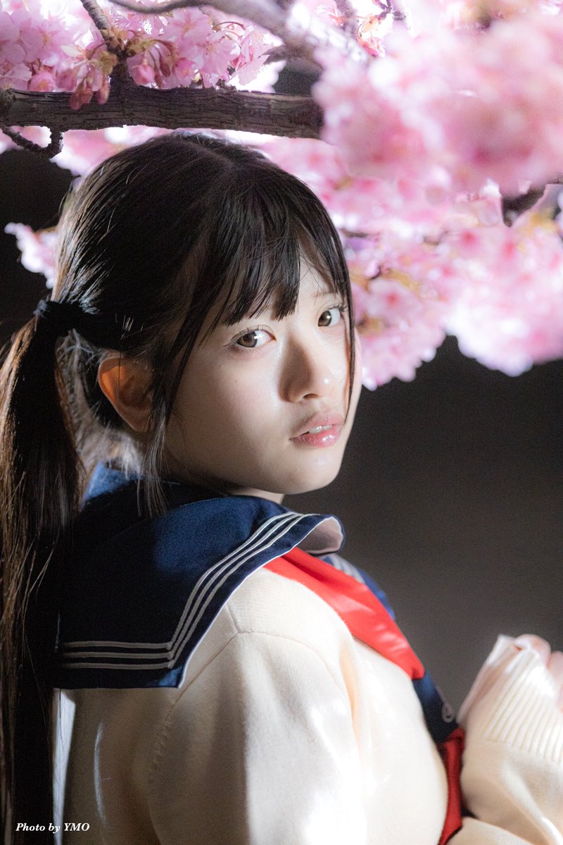 YMO写真垢 tweet media