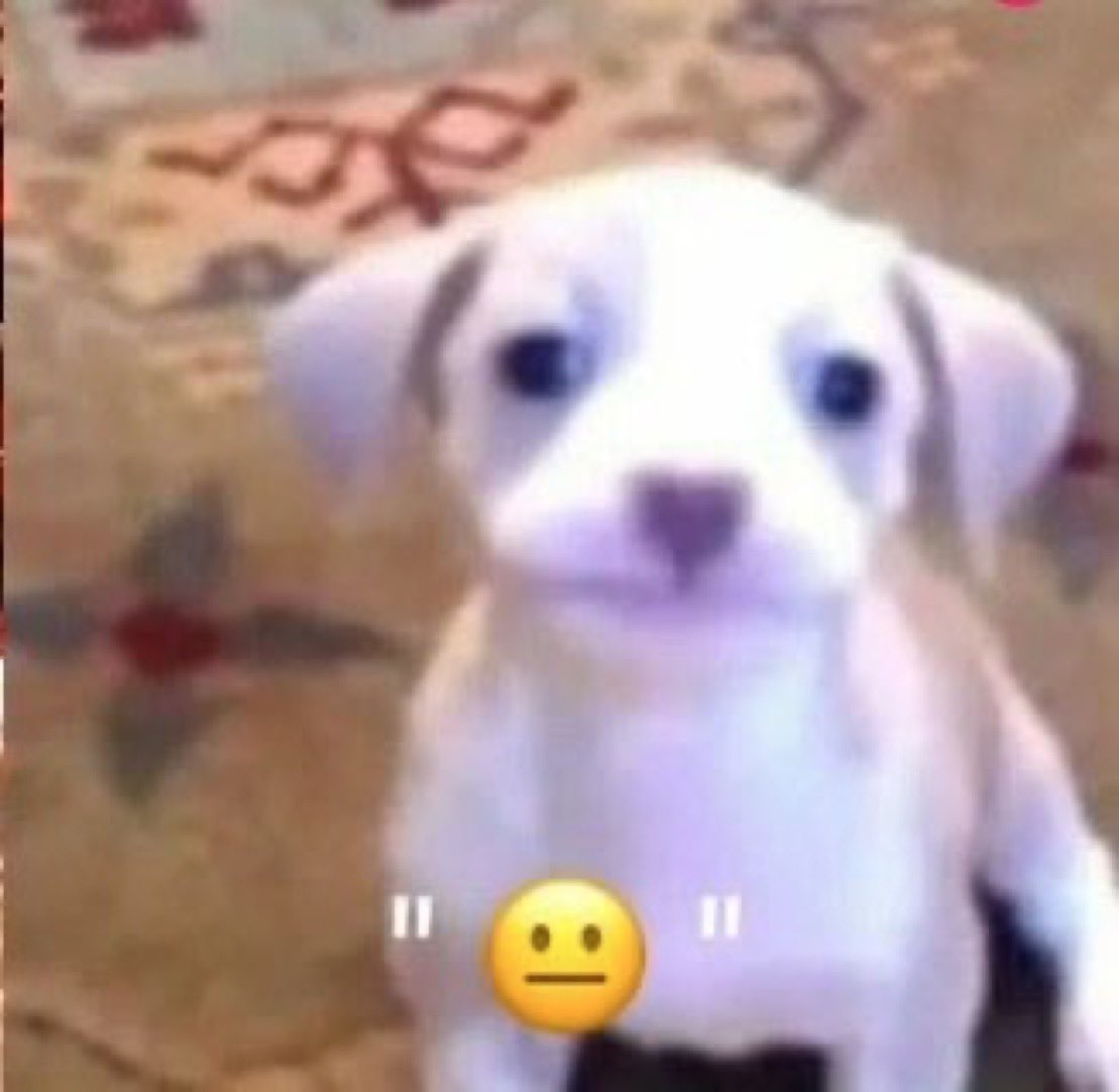 not juliet tweet media