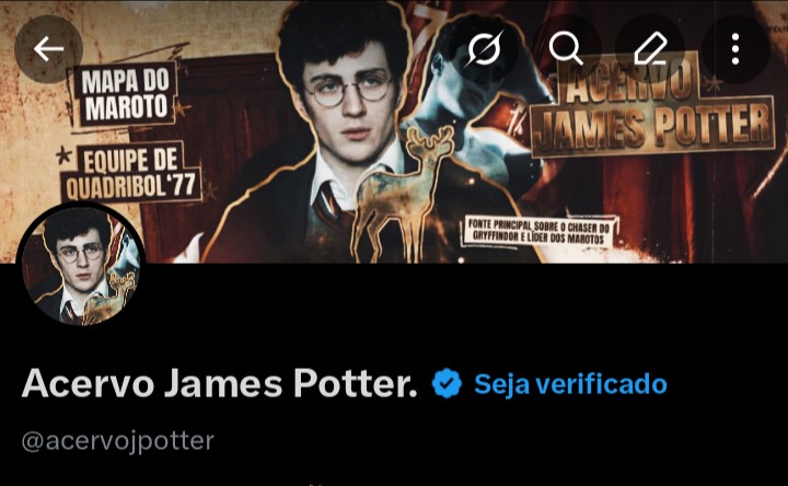 Acervo James Potter. tweet media