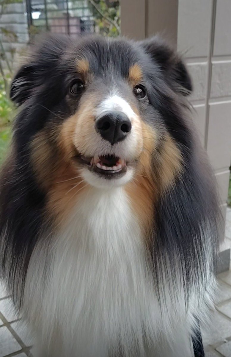 ルーク tweet media