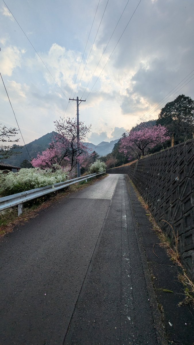大井川めんぱ大井屋の店主前田よしのり@護憲在民党 ゴケンザイミントウは漢方薬ではありません tweet media