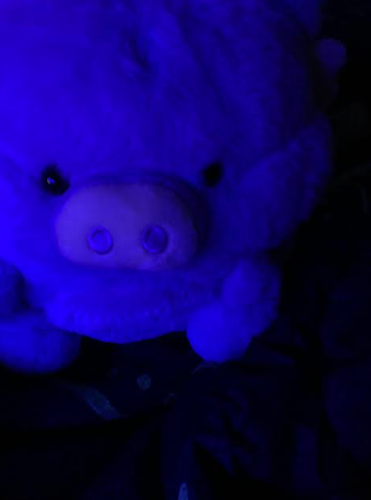 Your baddie-Shadow Milk Cookie tweet media