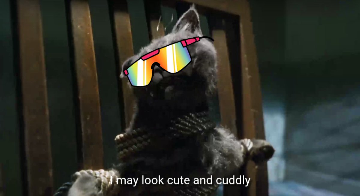 Maddi 🇦🇺🪻 tweet media