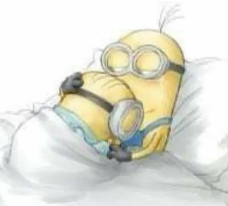 cake_lie tweet media