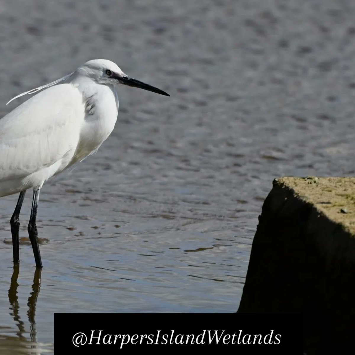 Kieran Minihane tweet media