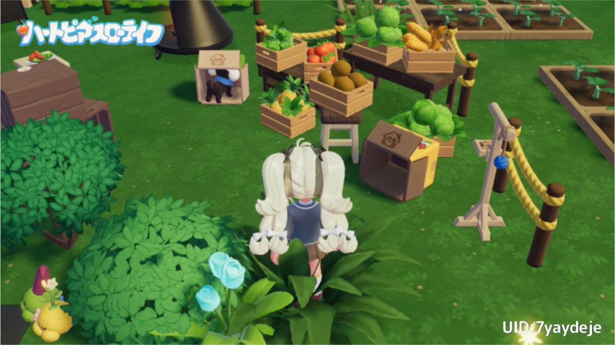 Kzt(かずってぃ) tweet media