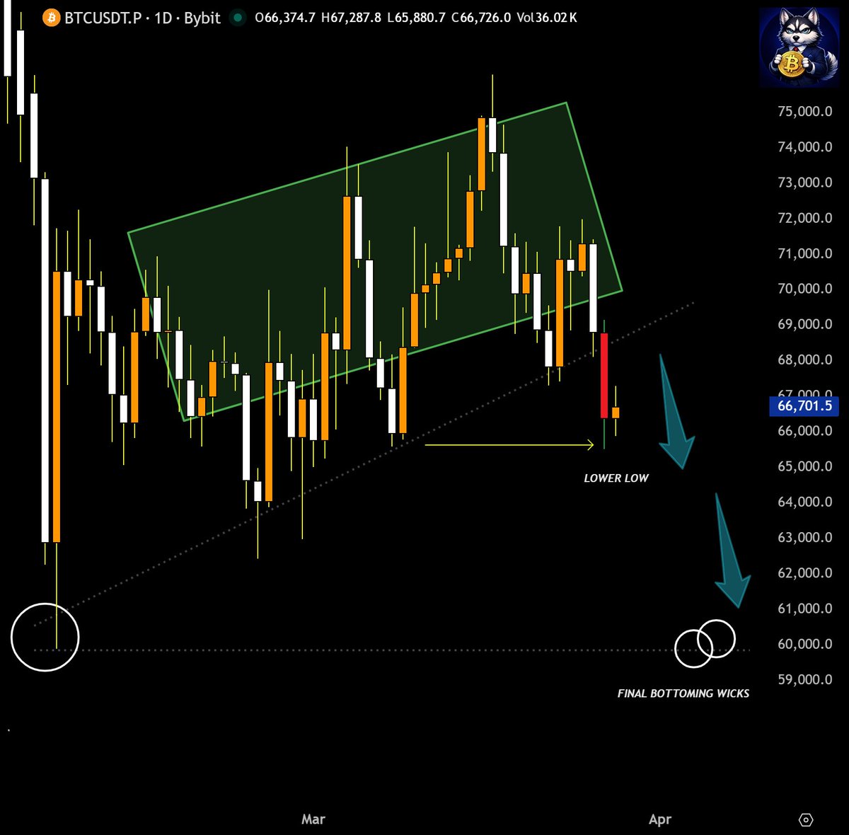 ProfitHusky tweet media