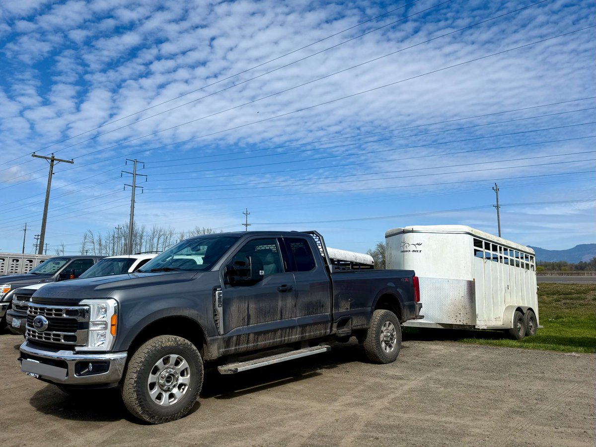 Dale Stark tweet media