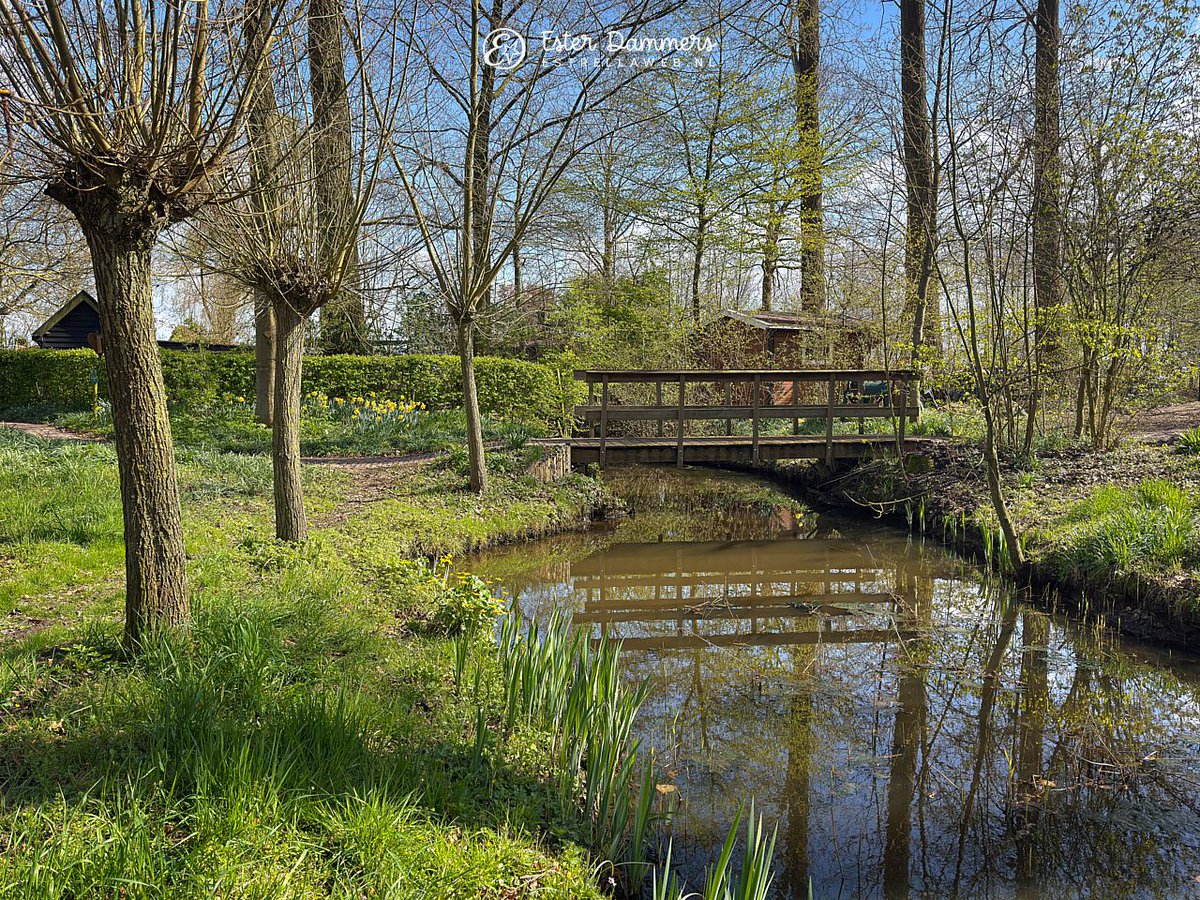 Ester Dammers tweet media