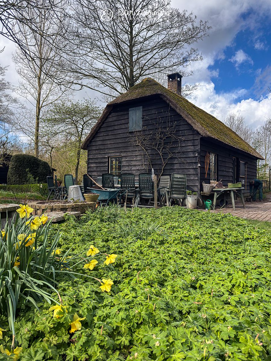 Ester Dammers tweet media