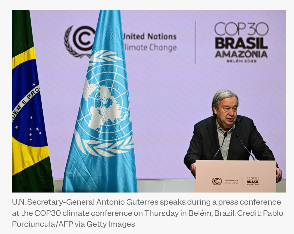 Peter Clack tweet media