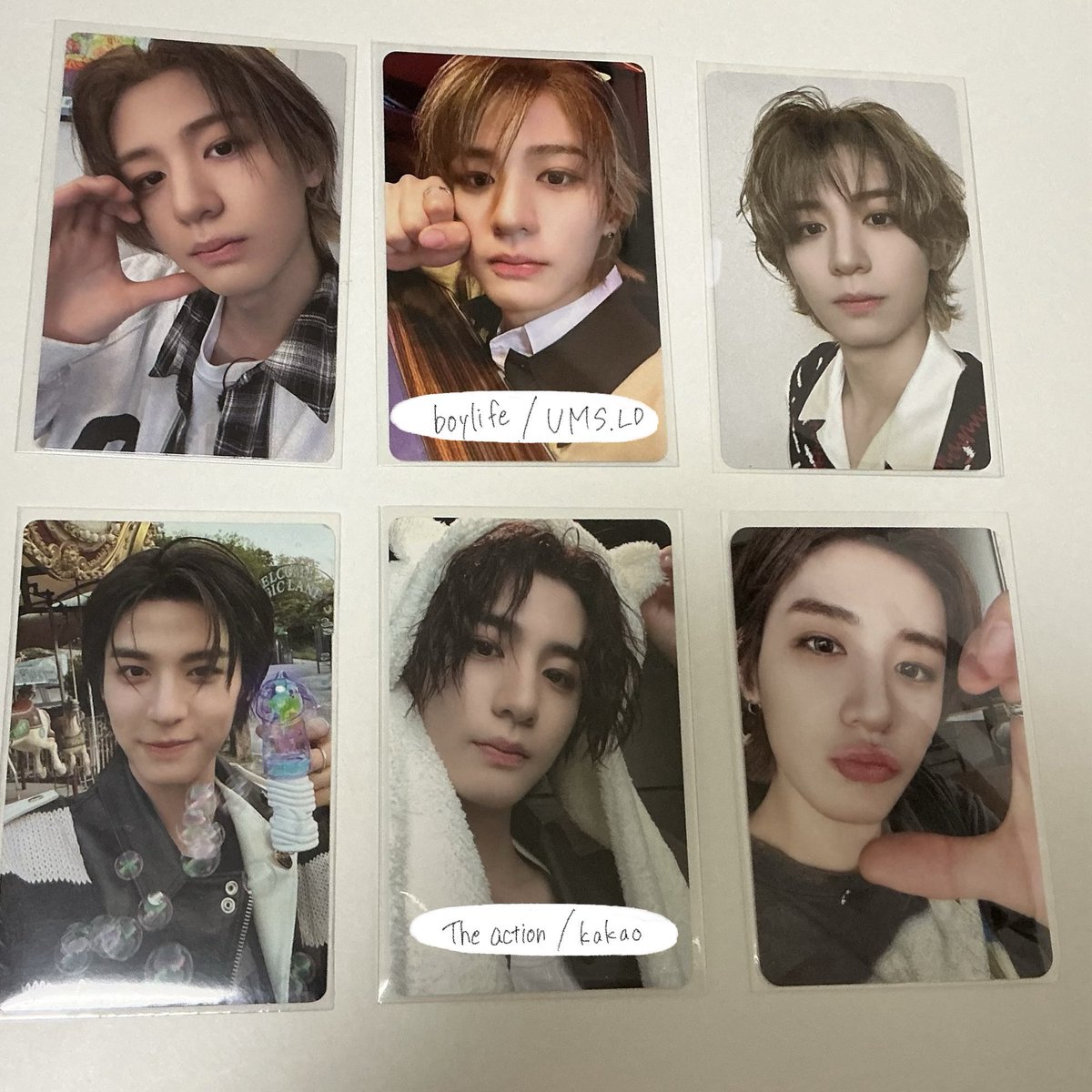 かぼちゃ🌱🐈 tweet media