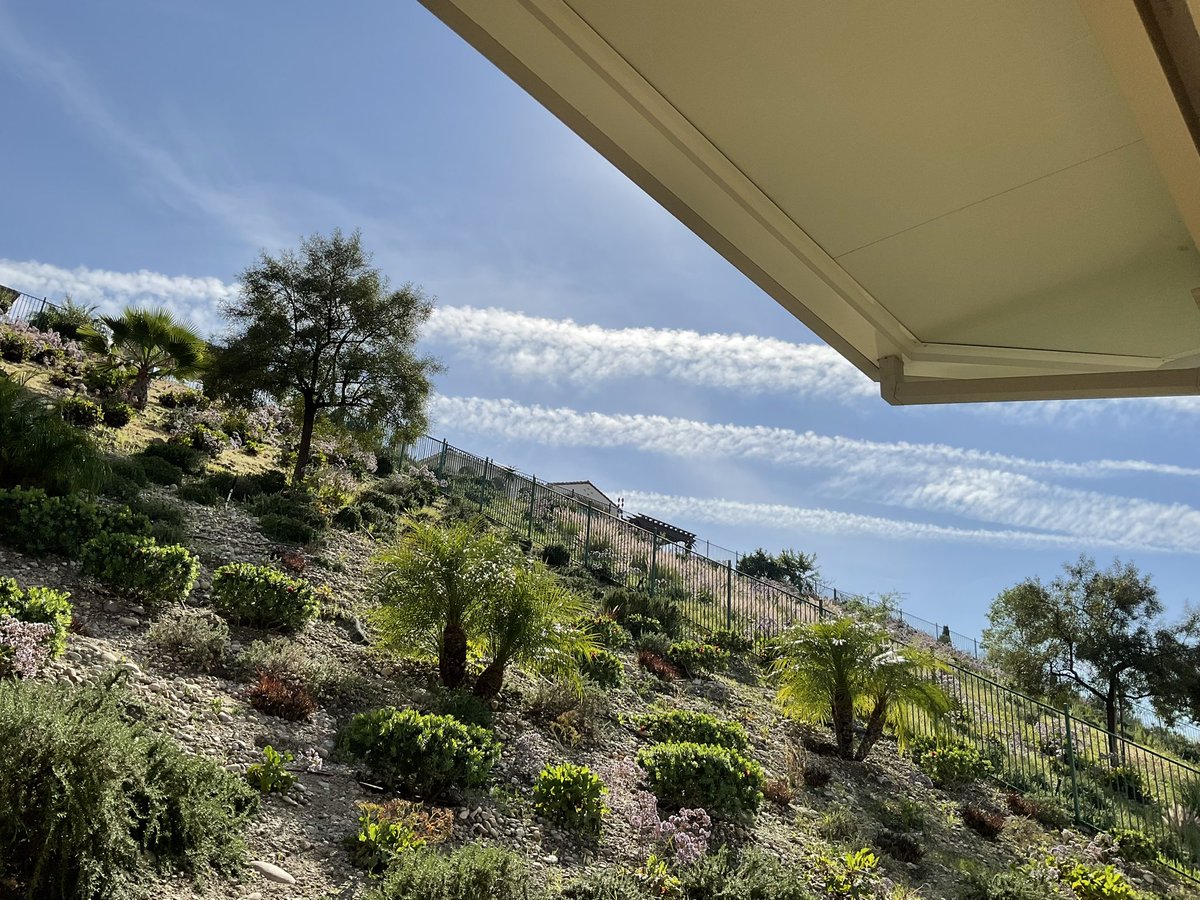 Maryanne 🙏 tweet media