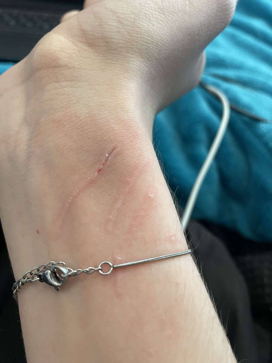 neo ^_−☆ tweet media