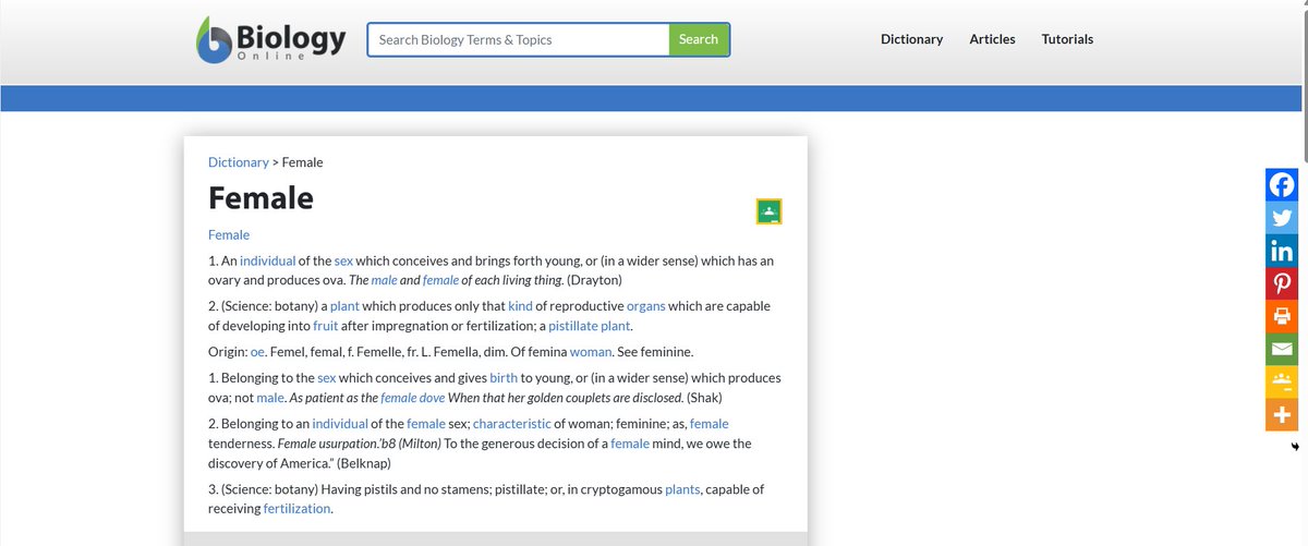 🐱🐾🐈 ⱩаꞎⱬꞑҤаꞎⱬ 👒🎩🐥 tweet media