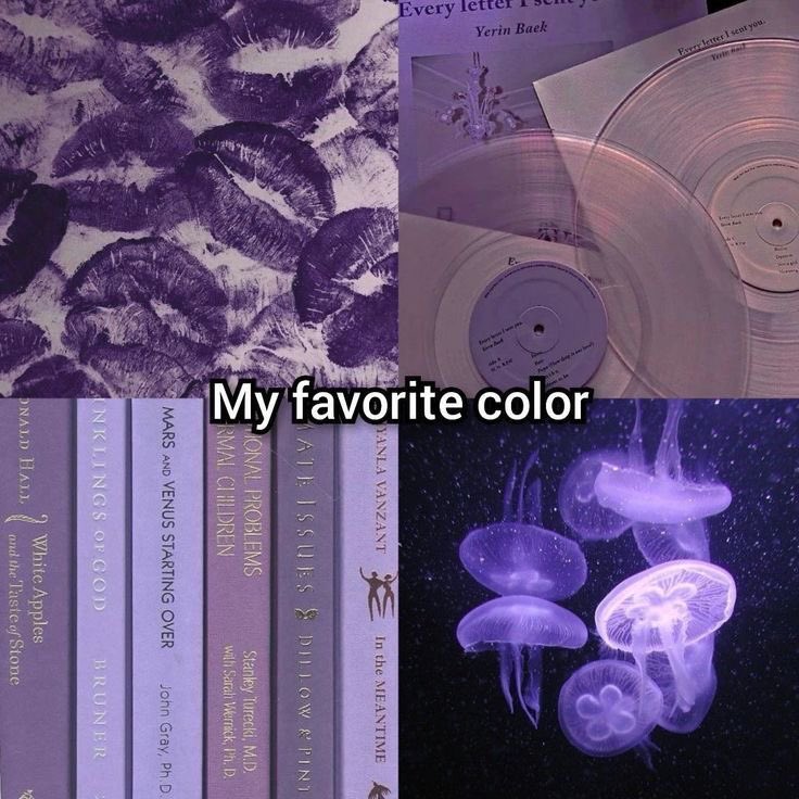 violet✧*｡ tweet media