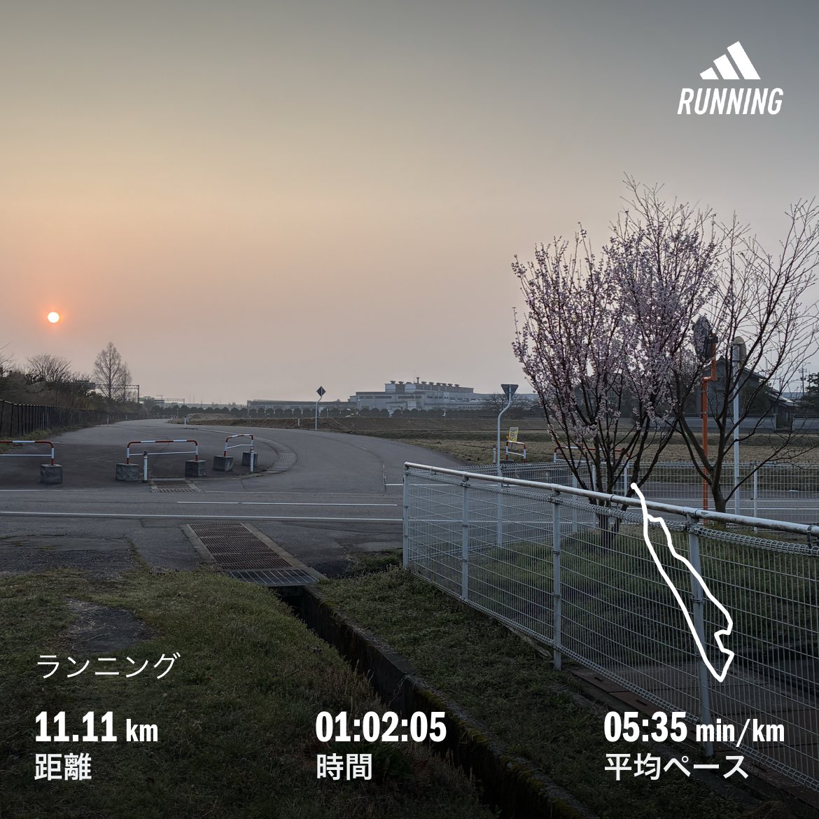 まゆもかforty tweet media