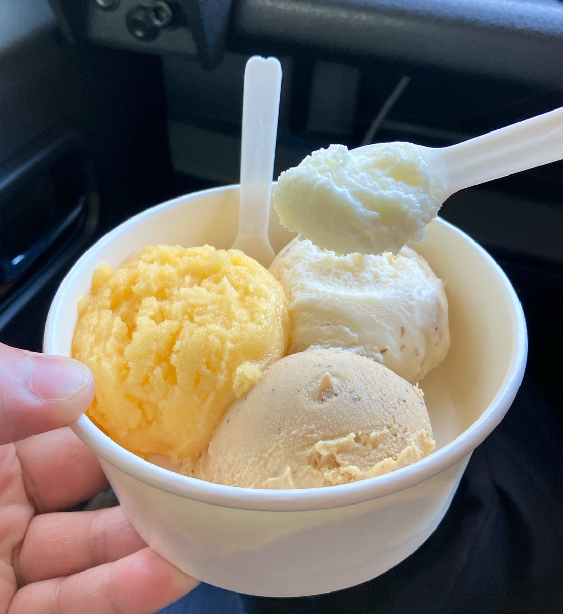 かめ(°8°)ちよ@お幟さんズ tweet media