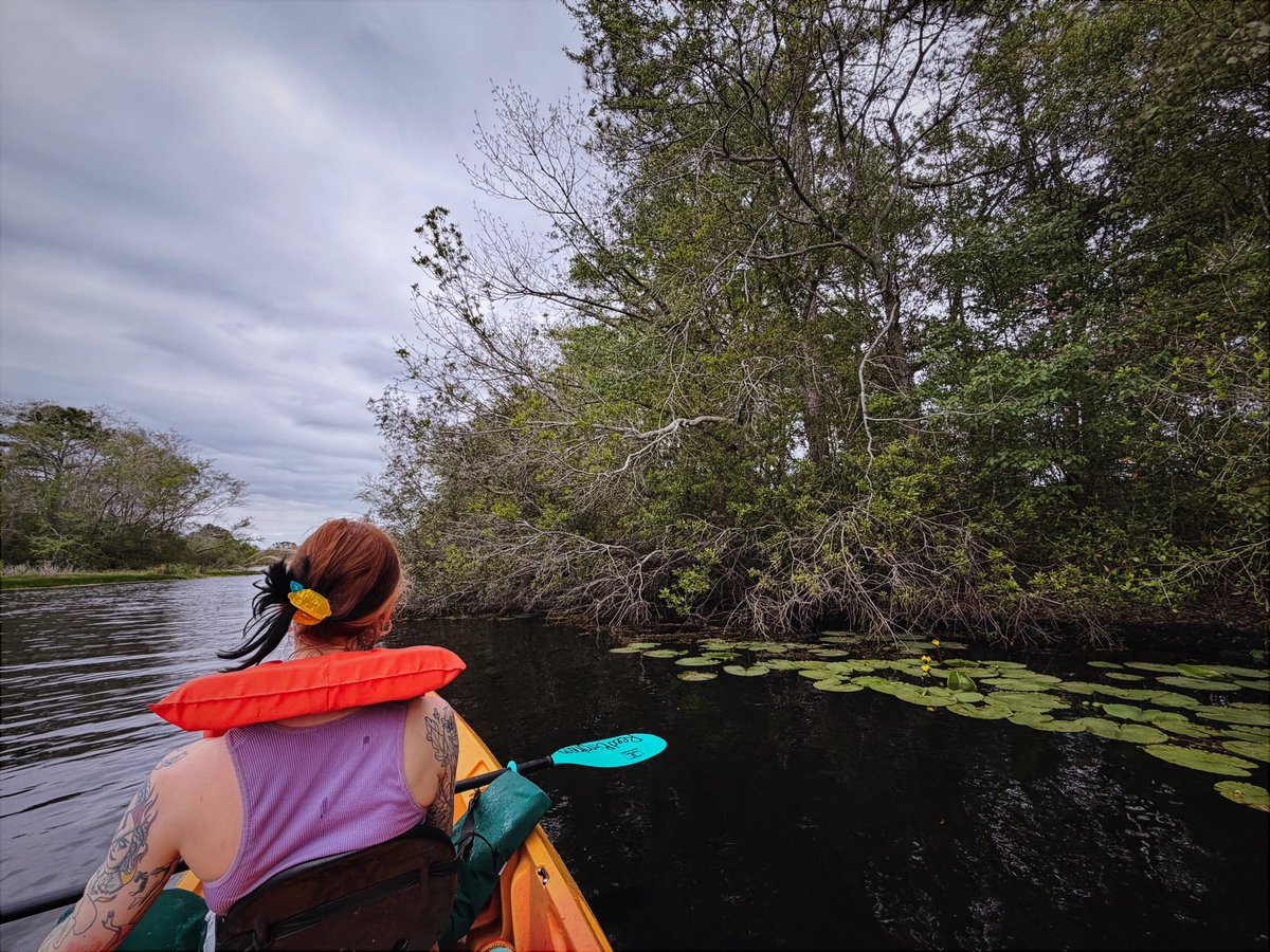 larn 🦊💛💋 tweet media