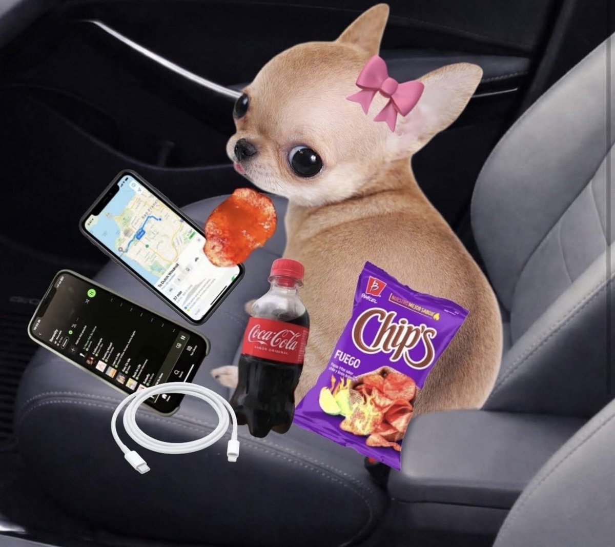 Guarromantico_'s tweet photo. Nadie:

Yo de copiloto: https://t.co/kiHQXb8UoL