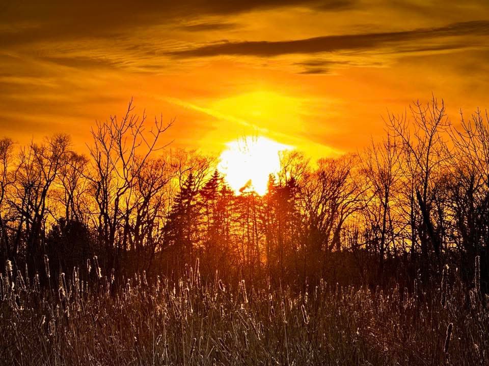 Mark the Caddie tweet media