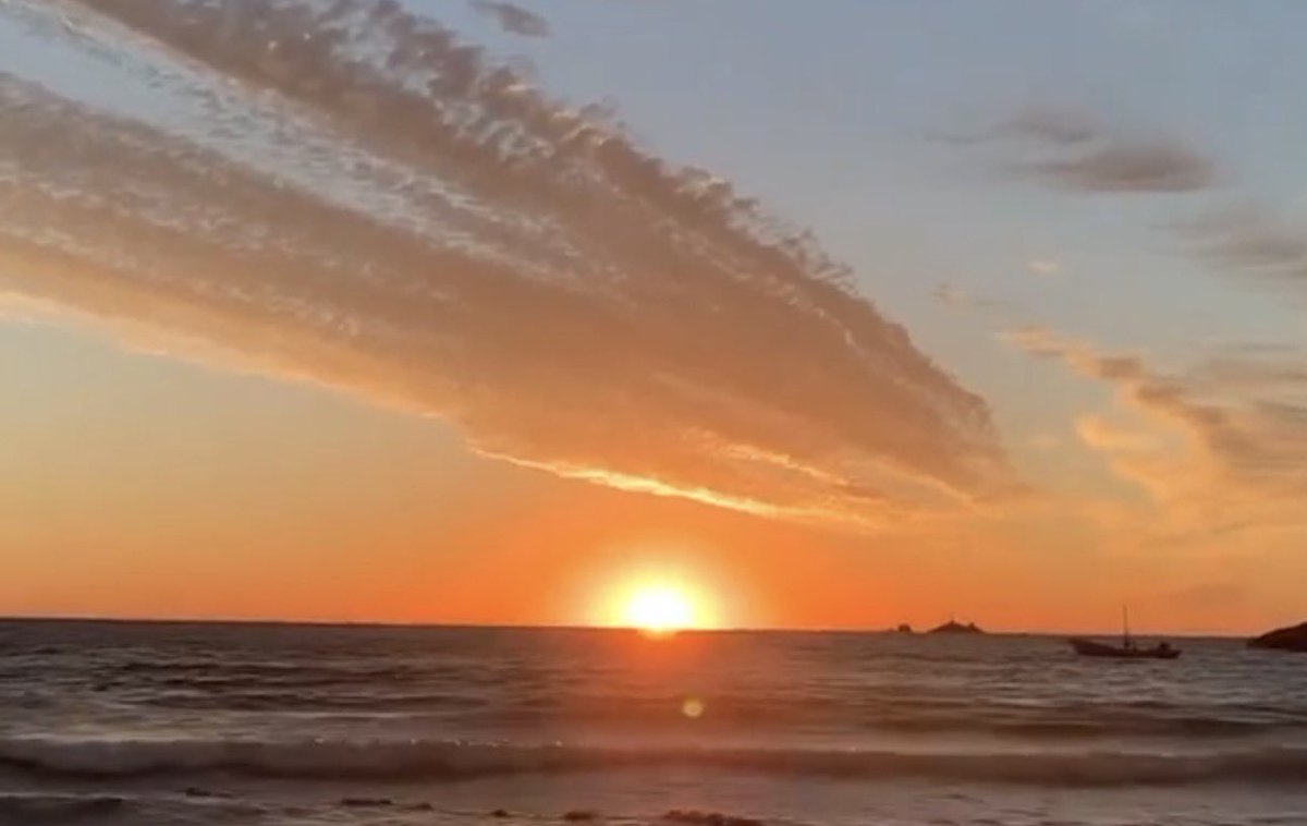 DD❤️/🕊️/DOGE tweet media