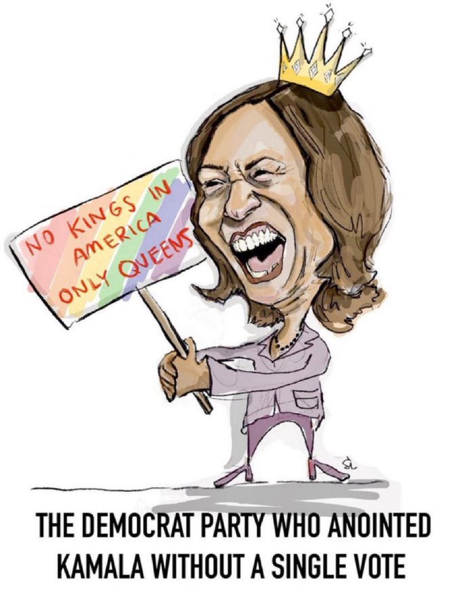 Sparky 🌵 ⚾ tweet media