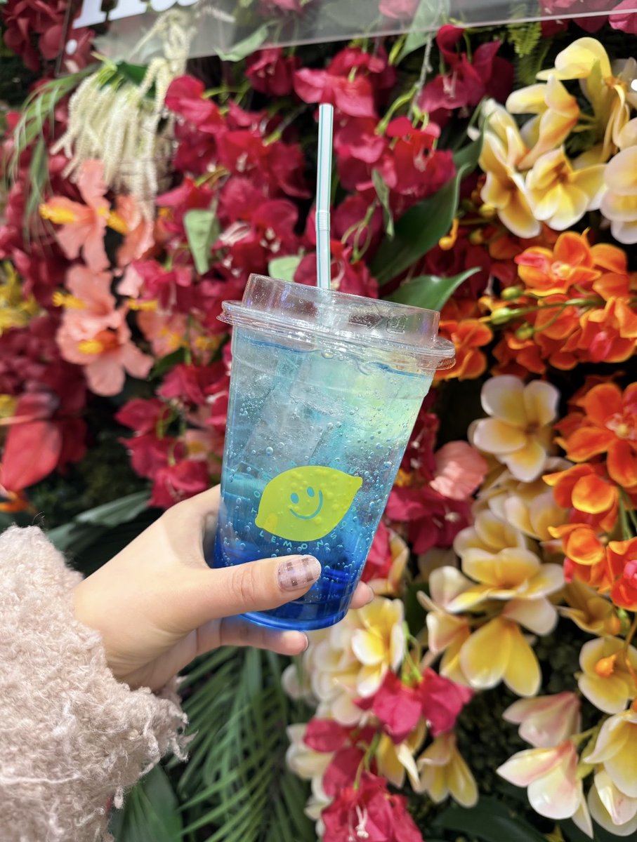 OL1年生りんたん🍓 tweet media