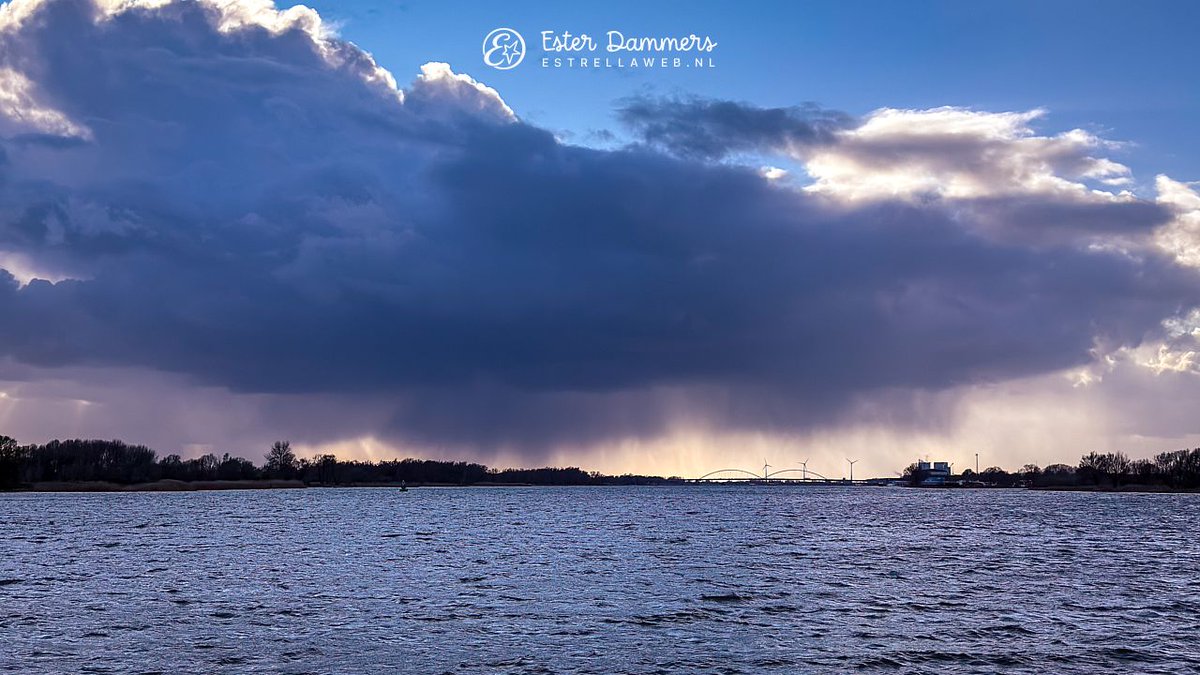 Ester Dammers tweet media