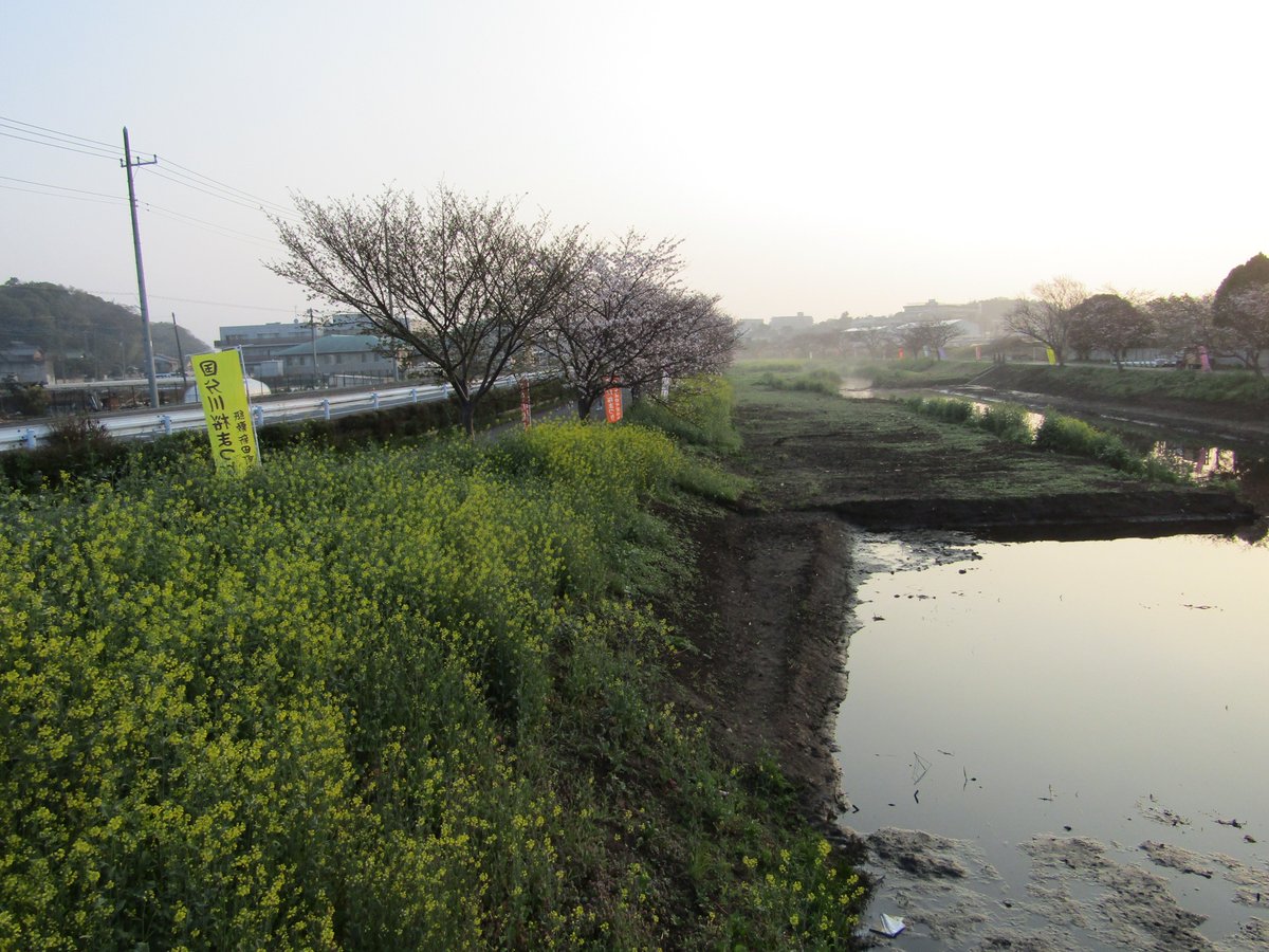 まにょん tweet media