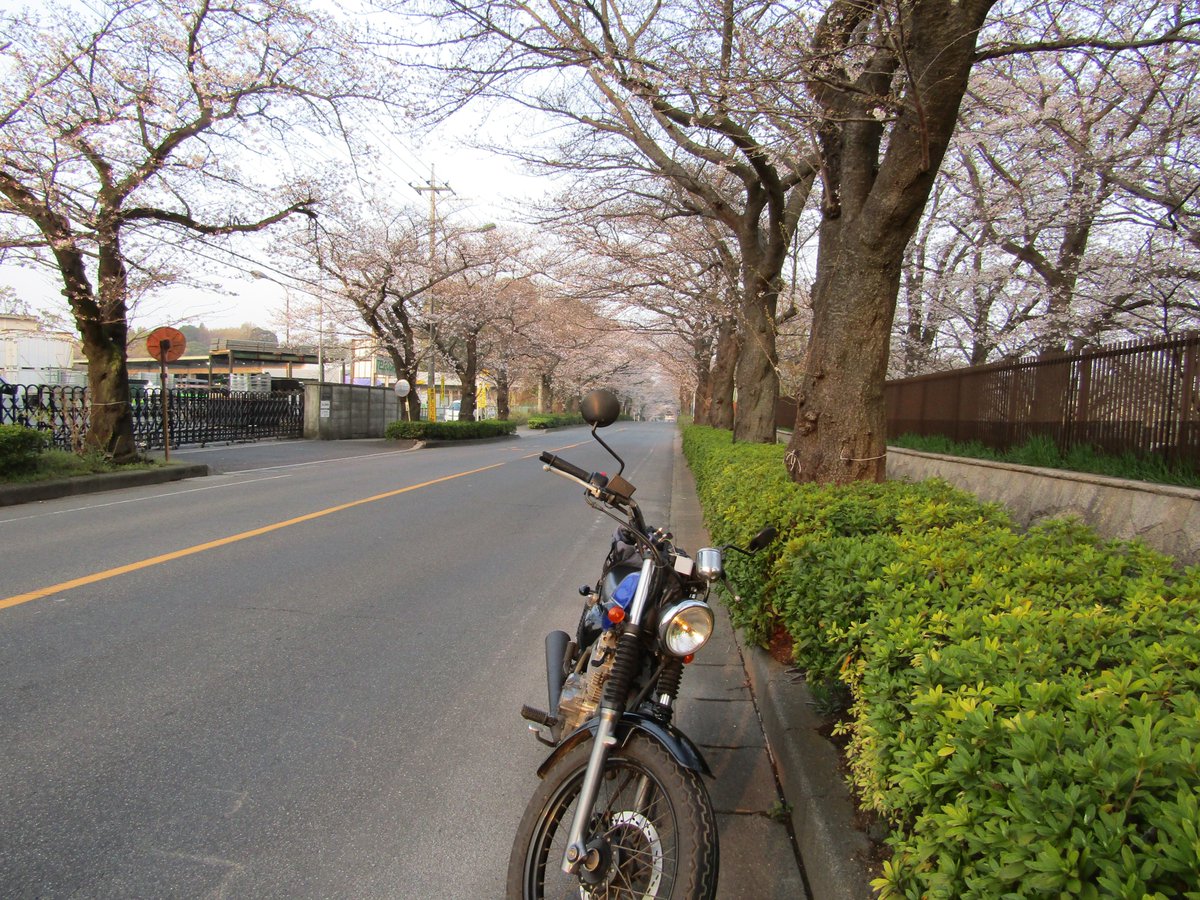 まにょん tweet media