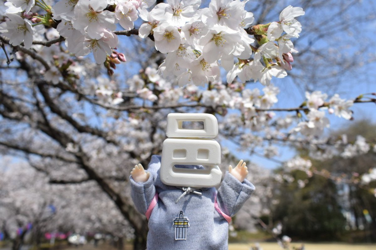 aza_mi00's tweet image. #邑人  #NikonD5300 
🌸