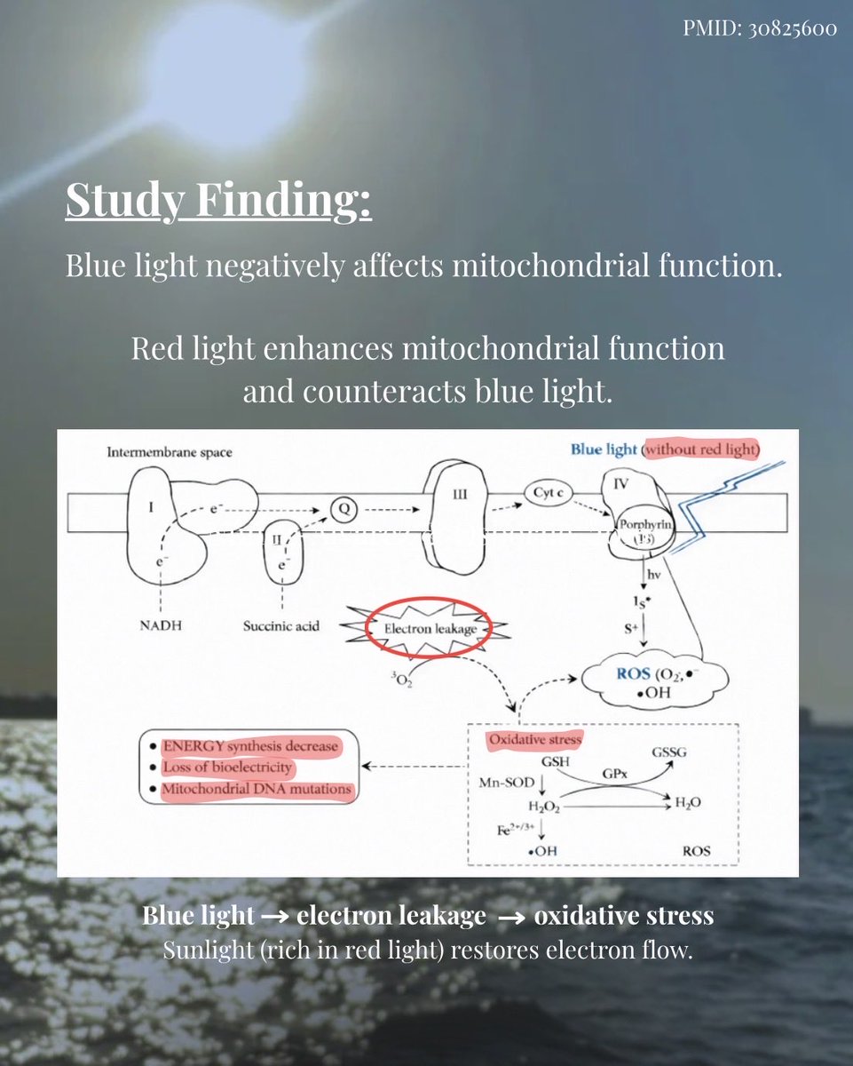 Shea Stickel tweet media