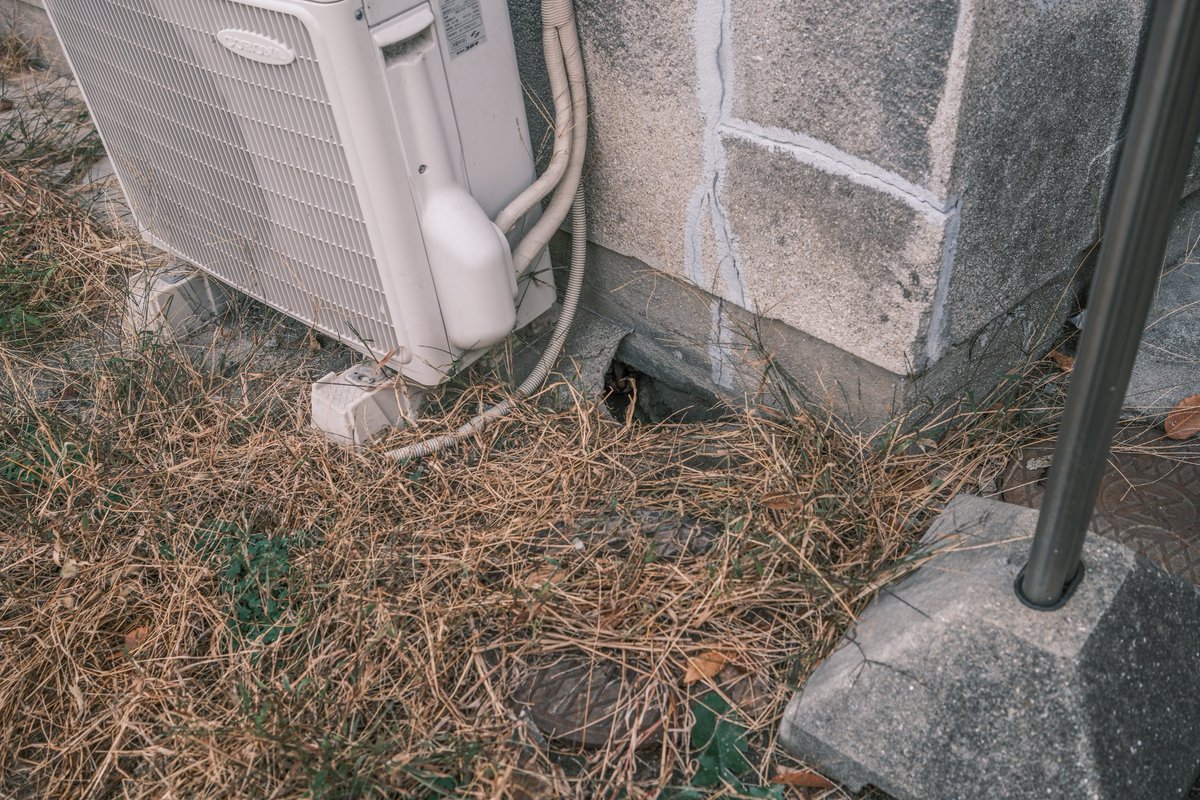 小林哲朗　写真家 tweet media