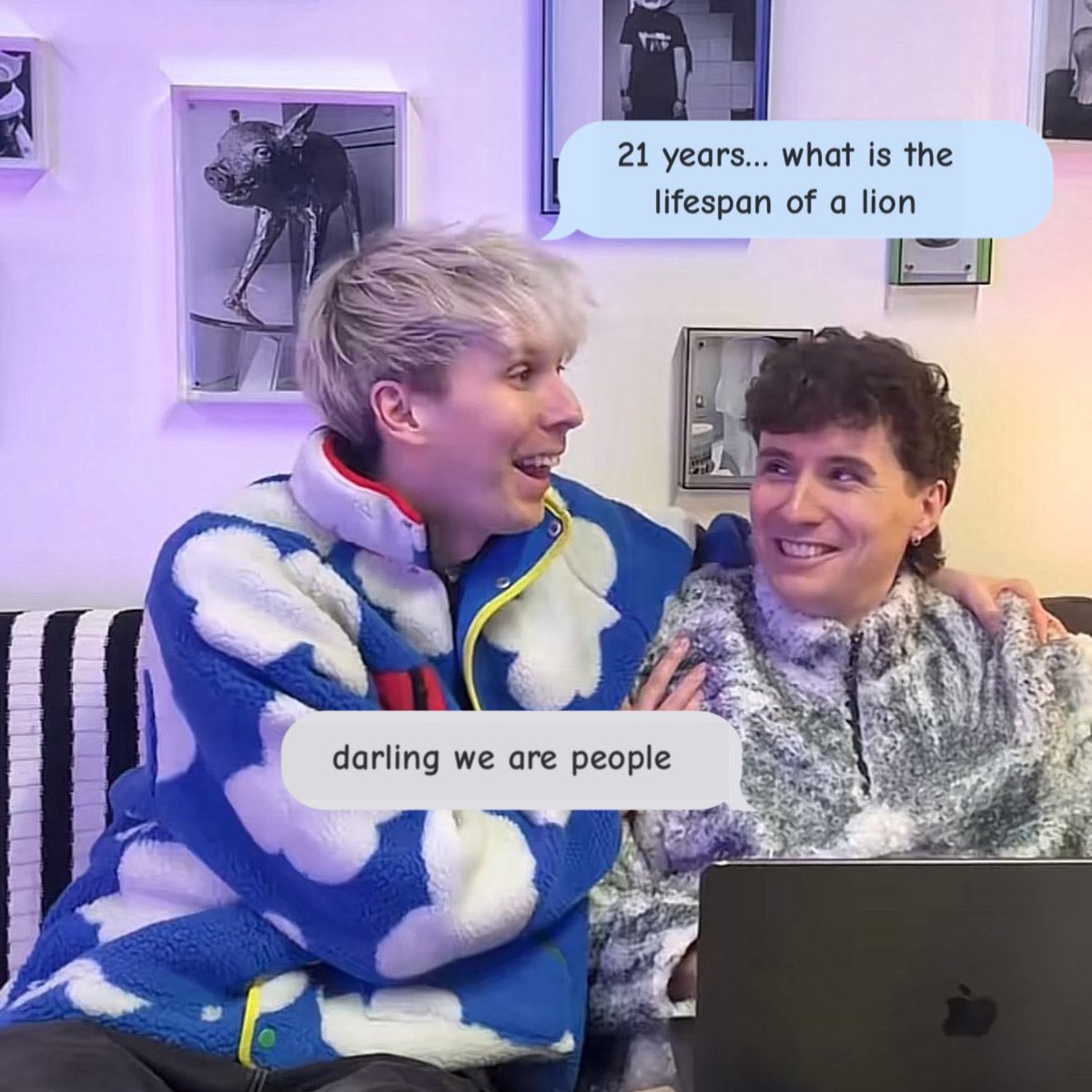 salomé! tweet media