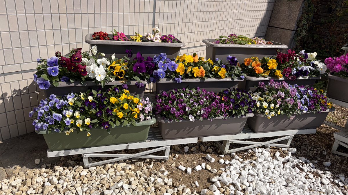 イズミヤショッピングセンター☀️【公式】 tweet media