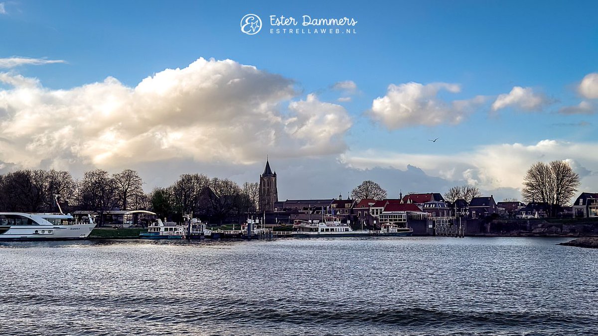 Ester Dammers tweet media