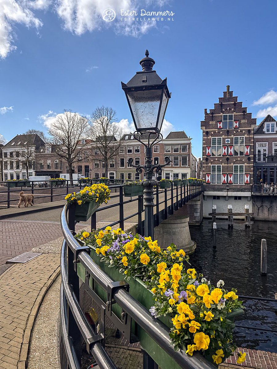 Ester Dammers tweet media