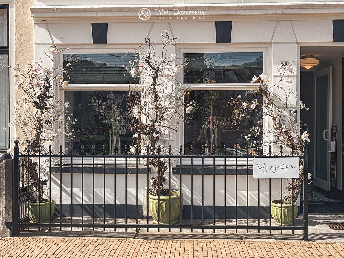 Ester Dammers tweet media