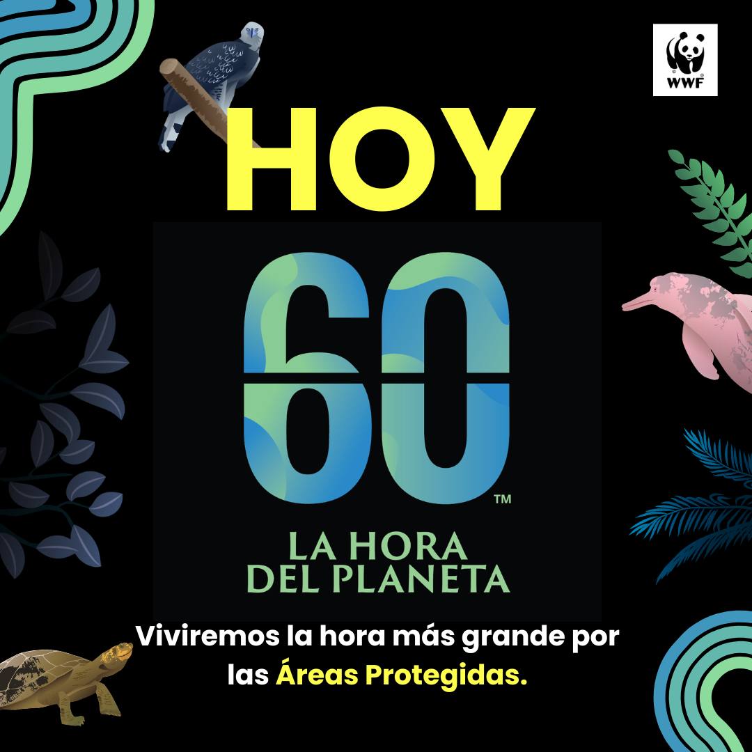 Agencia de Noticias Fides tweet media