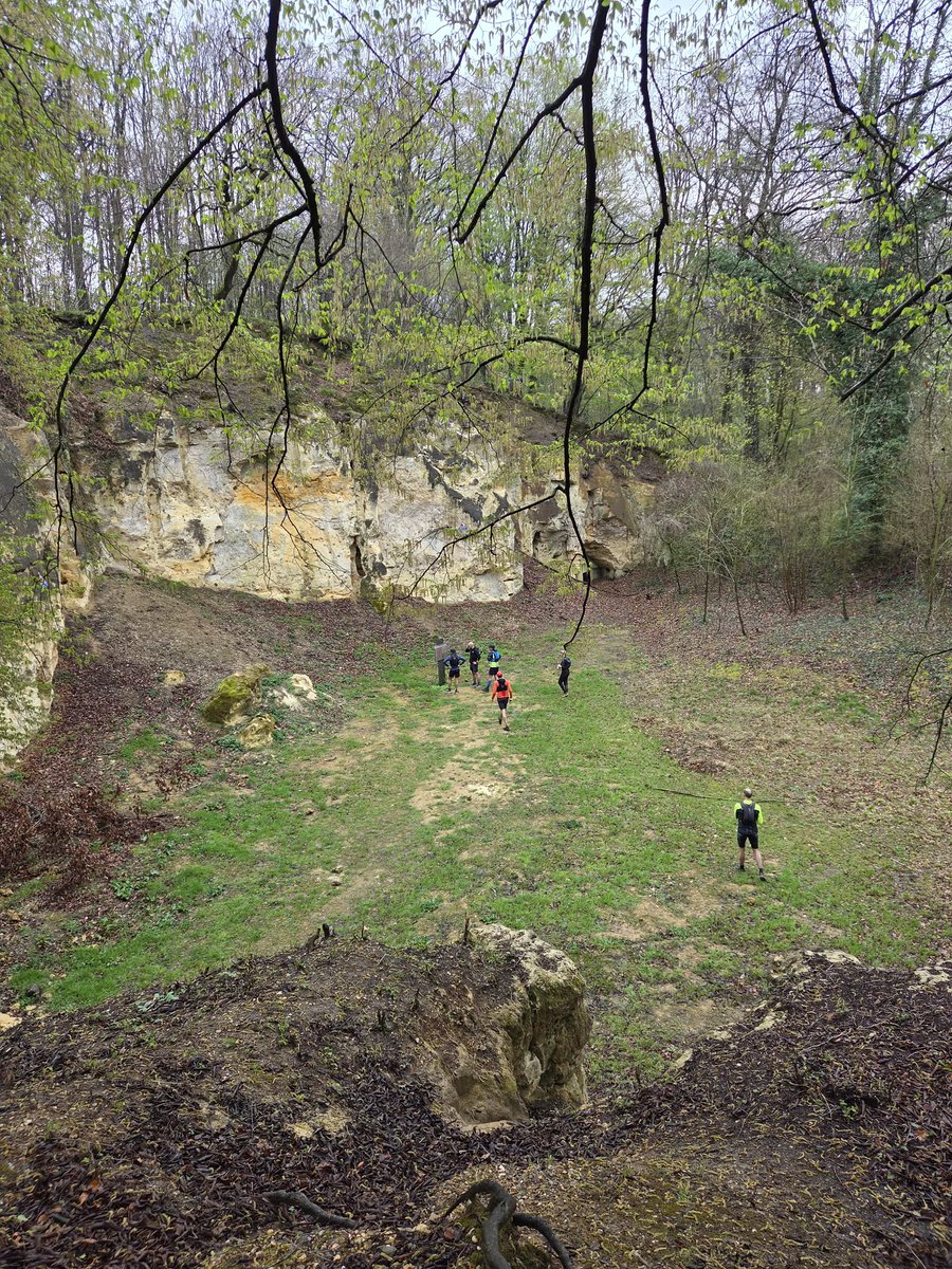 Bobke125 tweet media