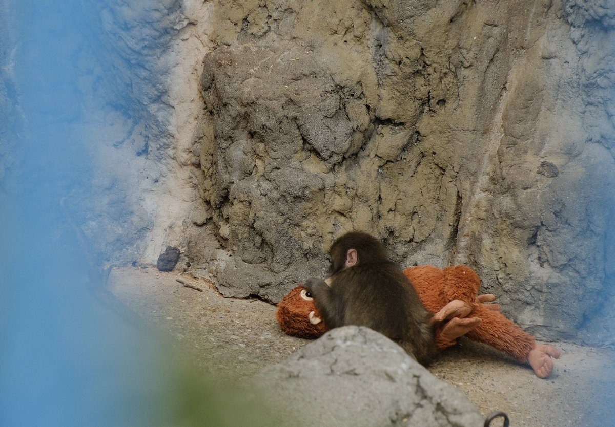 kusakusa tweet media