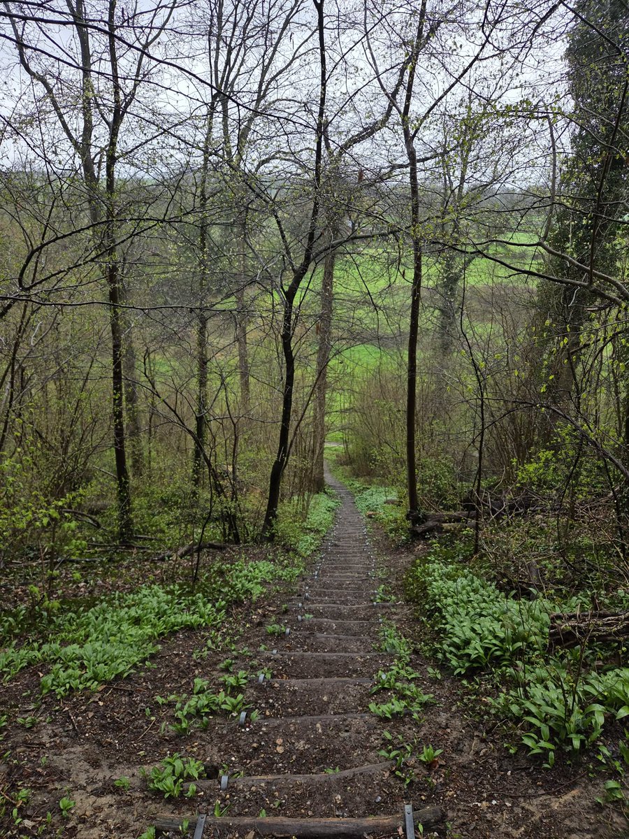 Bobke125 tweet media