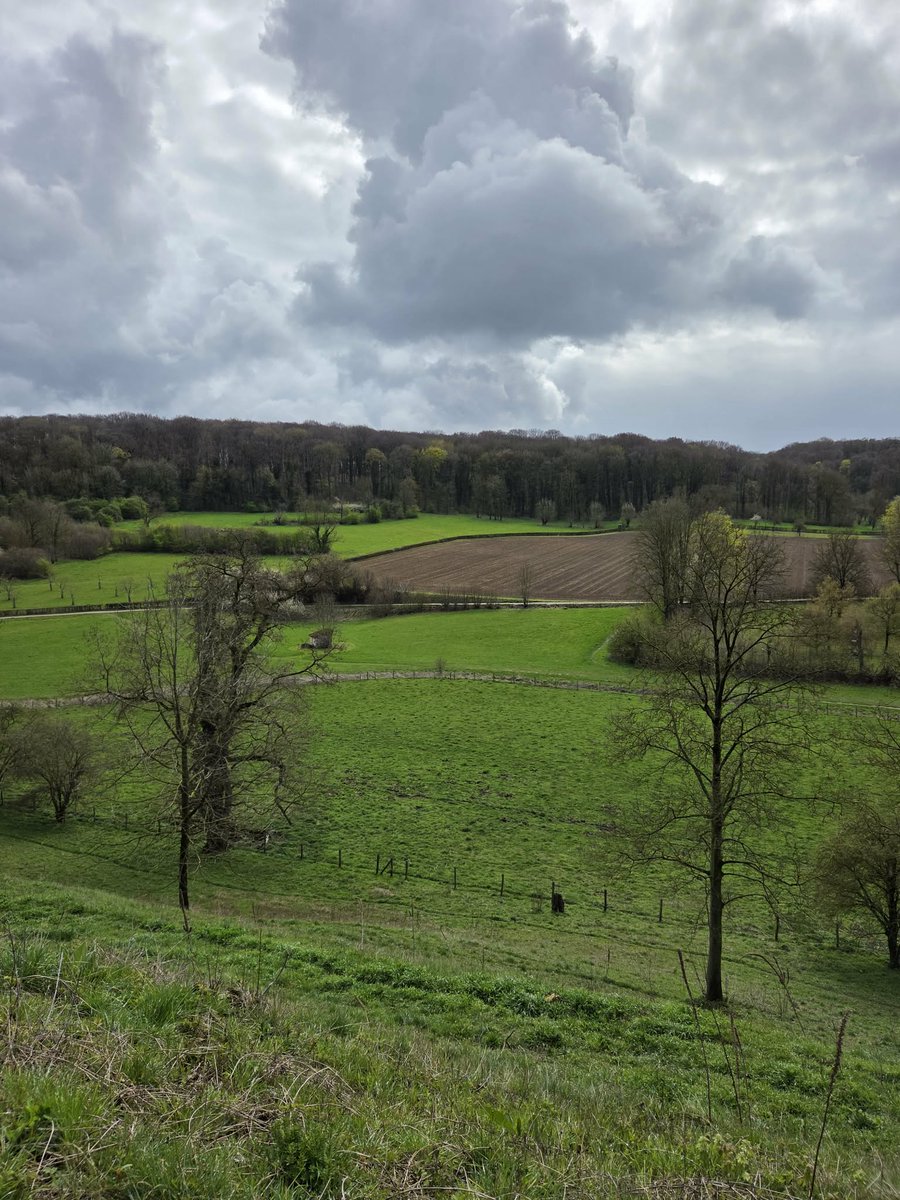 Bobke125 tweet media